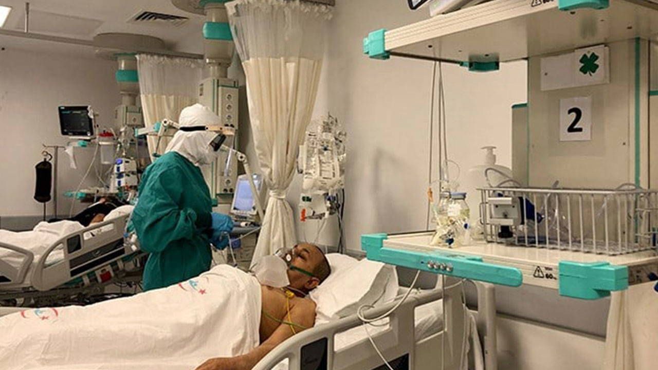 Ankara'nın ardından Bolu'da ‘deli dana’ vakası çıktı