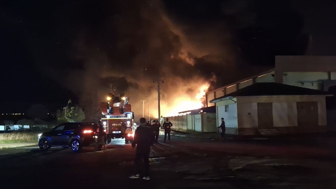 Samsun'da geri dönüşüm fabrikasında yangın çıktı