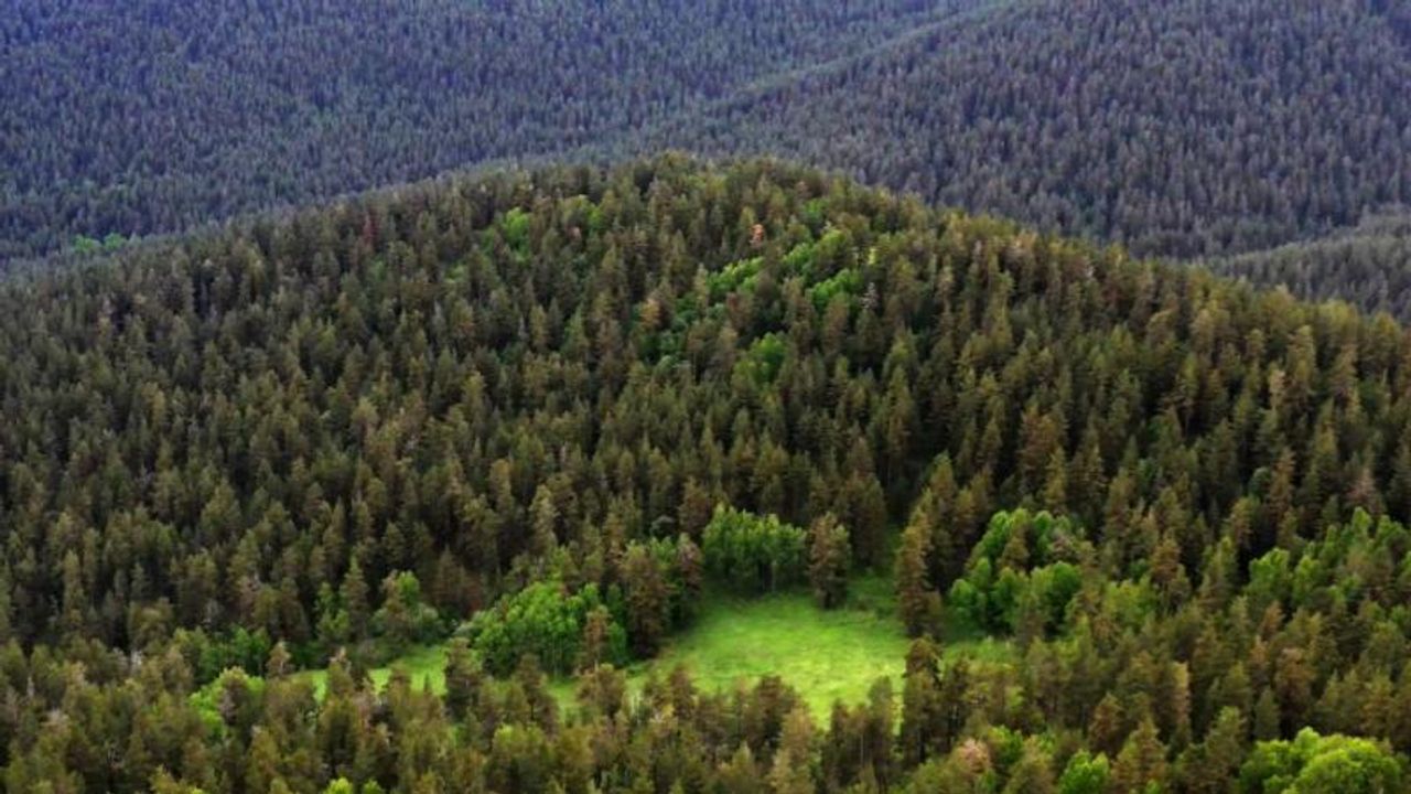 Çevre Kanunu’nda değişiklik: Kanun teklifi TBMM'de kabul edildi