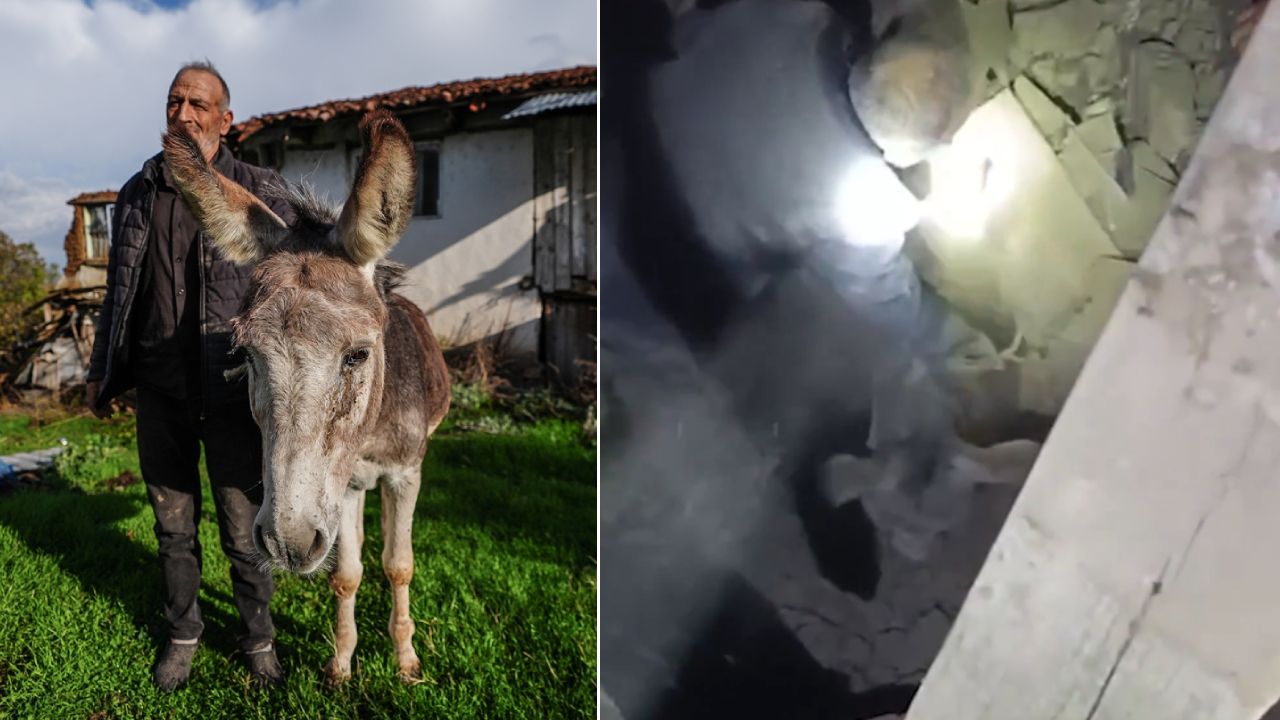 Sındırgı'daki depremde enkaz altında kalan Kadife'yi mahalleli kurtardı