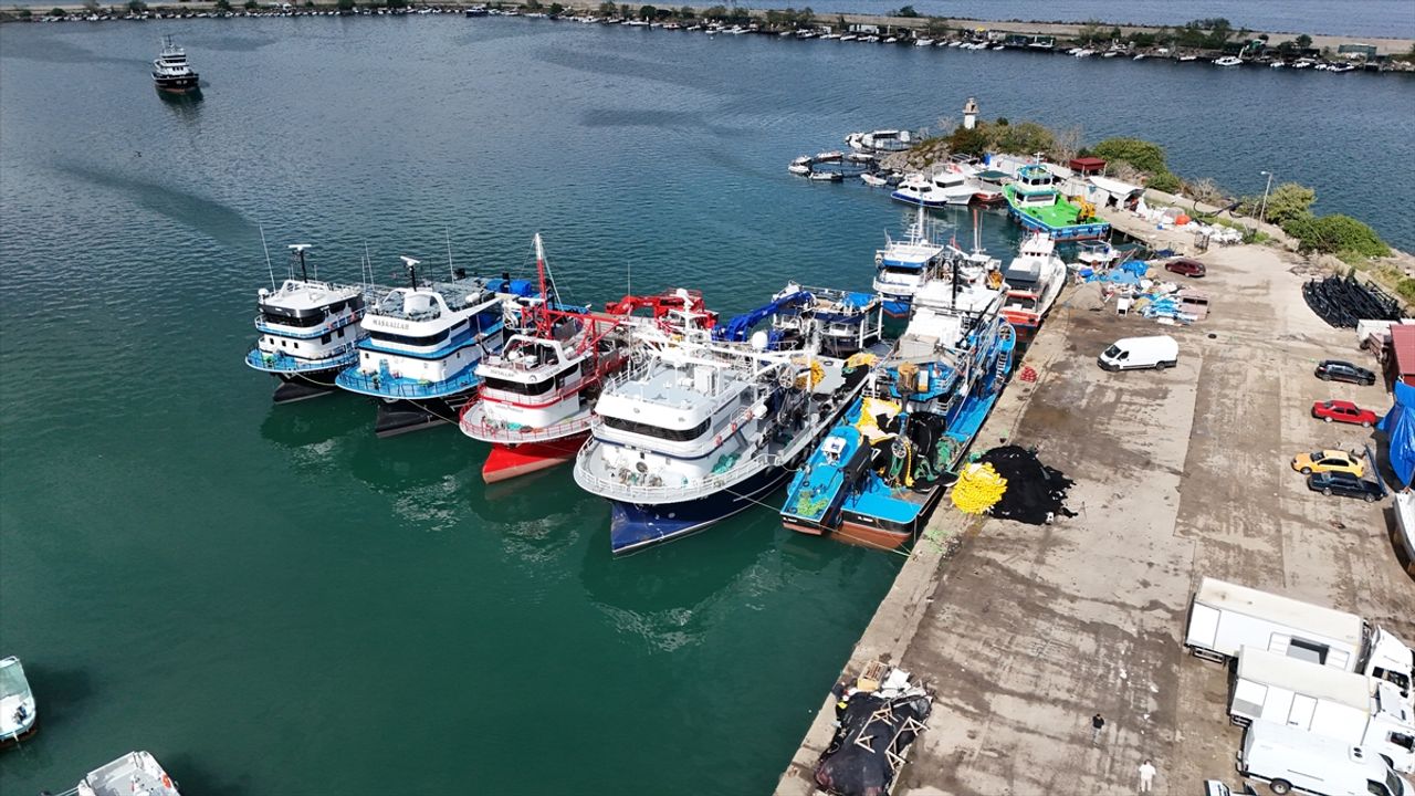 Karadeniz ve Marmara'da balık bereketi: Lüfer ve istavrit tezgahları doldurdu