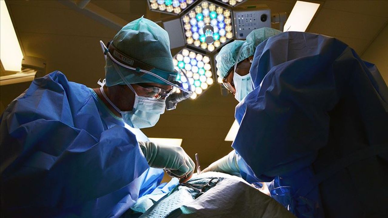 Domuz karaciğeri Çin'de umut oldu! 171 gün yaşadı