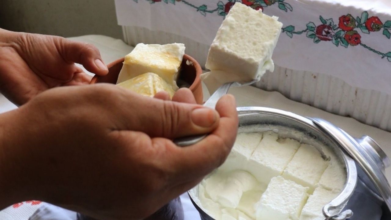 Bartın'ın manda yoğurdu "Kültürel Miras" listesine eklendi!