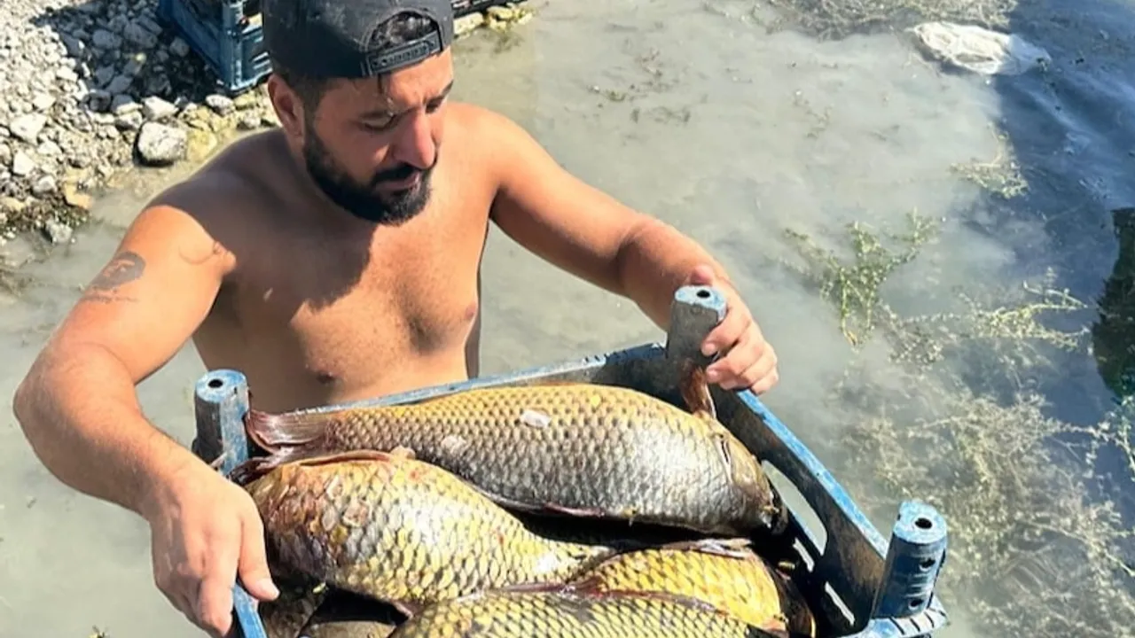 Balıkçılık yaparak ayda 200 bin TL kazanıyor