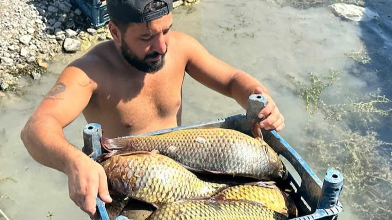 Balıkçılık yaparak ayda 200 bin TL kazanıyor
