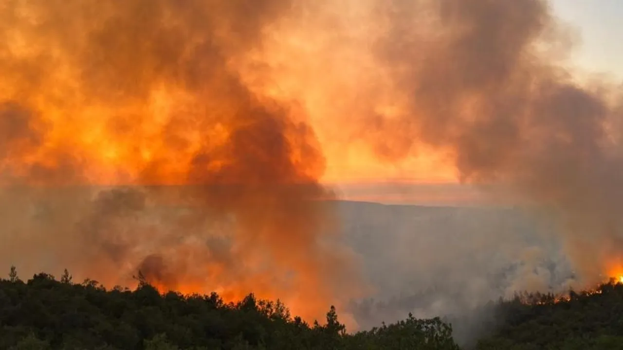 Balıkesir''de alevlerle mücadele ediliyor