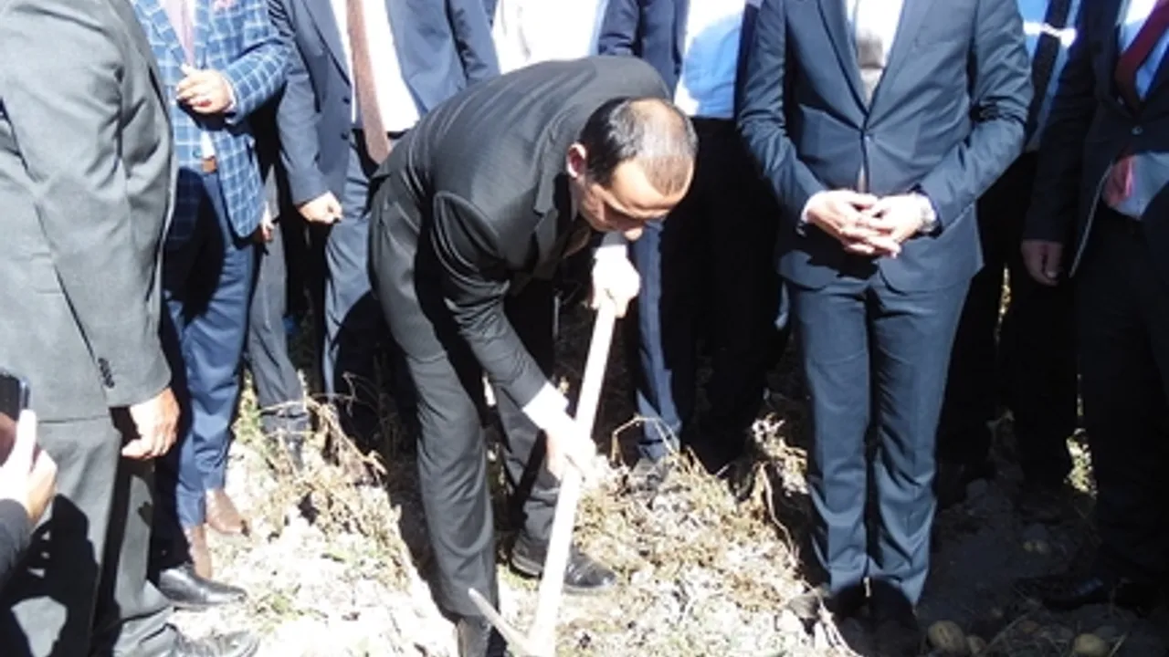 Çankırı Dodurga''da atıl arazide yetiştirilen patatesin hasadı başladı