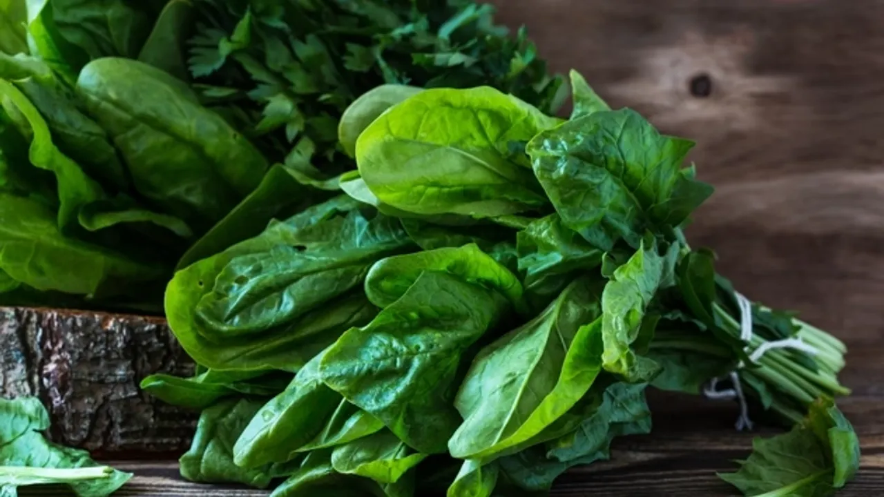 Ispanak diyabete umut oldu