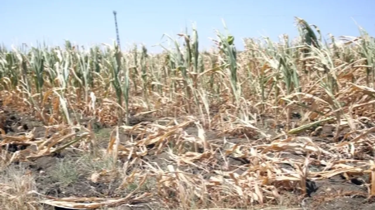 Kuraklık tarım üretimini ve su kaynaklarını tehdit ediyor