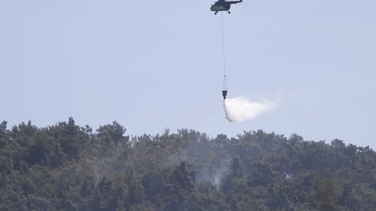 Milas''ta çıkan orman yangınına havadan ve karadan müdahale ediliyor