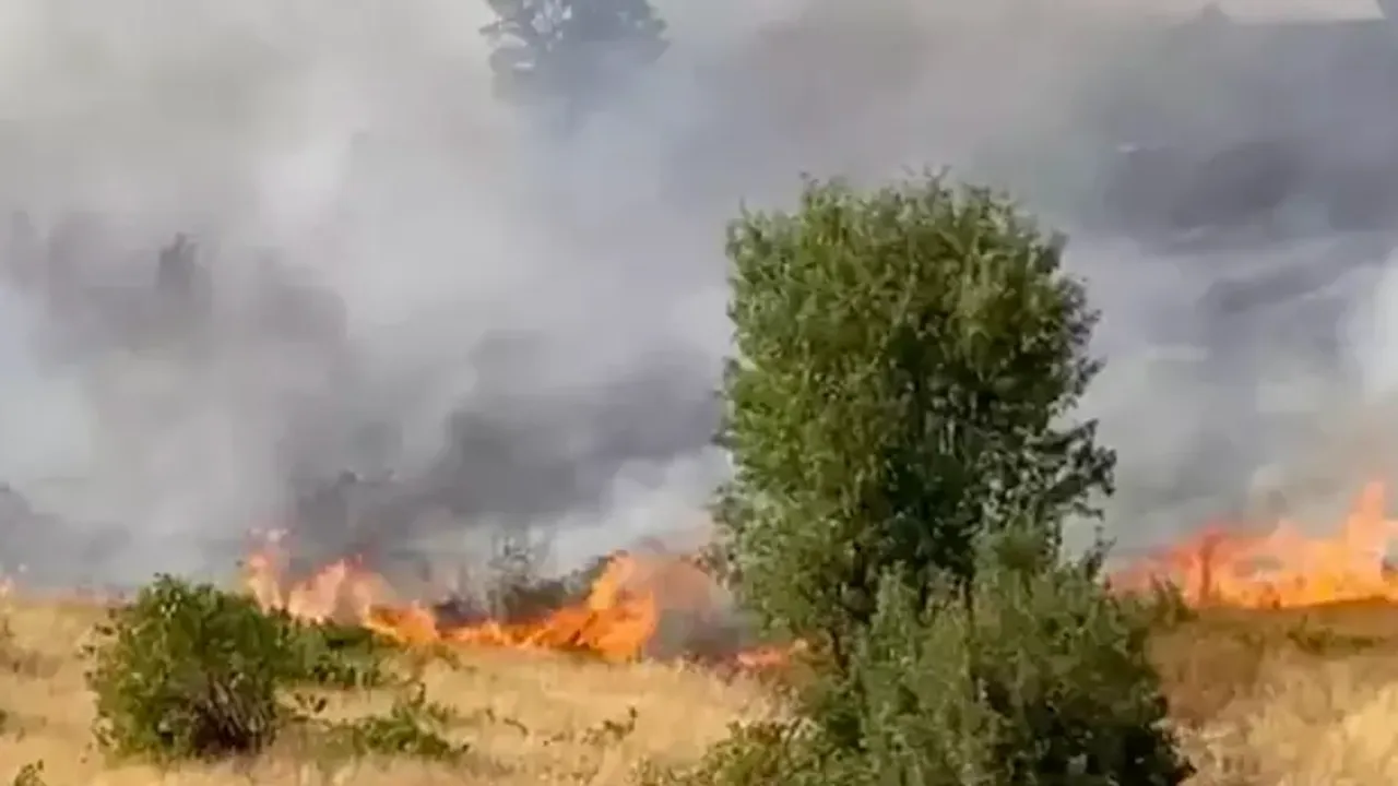 Diyarbakır''da çıkan  yangına müdahale