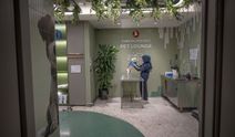 THY'den "Pet Lounge" hizmeti İstanbul Havalimanı'nda