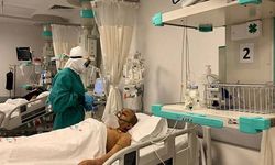 Ankara'nın ardından Bolu'da ‘deli dana’ vakası çıktı