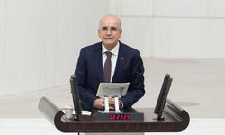 Türkiye ekonomisi hakkında konuştu; İlgiden memnunuz