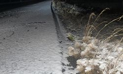 Kars'ın yüksek kesimlerinde kar etkisini gösterdi