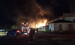 Samsun'da geri dönüşüm fabrikasında yangın çıktı