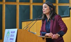 DEM Parti Eş Genel Başkanı: "Kürtçe paylaşım yapınca Türkçe'ye halel mi geldi?"