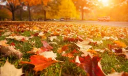 Sıcaklıklar artıyor: Bahar havası etkili olacak