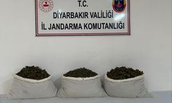 Diyarbakır’da uyuşturucu operasyonu: 15 kilogram 'Skunk' ele geçirildi