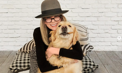 Ünlü oyuncu 5 milyon dolarlık servetini köpeğine bıraktı