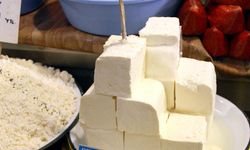 Süt ürünleri yaşlanma karşıtı açısından trendlerde