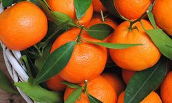 Turuncu mandalina devri bitti mi?