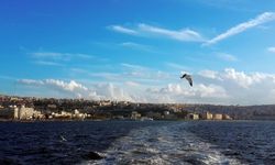 İzmir’de tüyler ürperten olay! Balık tutan birinin oltasına insan kafatası takıldı