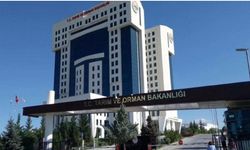 Tarım ve Orman Bakanlığı işe alım yapacak