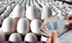 Küçük çiftçiye esneklik: Üretim ve satış kriterleri değişti