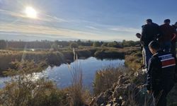 Ehliyetsiz sürücü aracıyla gölete düştü