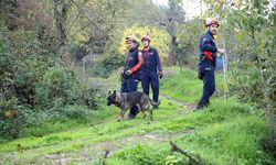 Kaybolan anne ve oğlunu arama çalışmalarına ara verildi