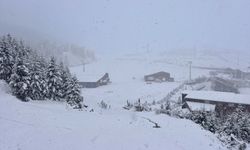 Ordu'ya yılın ilk karı düştü