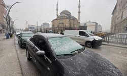 Doğu Anadolu'da kar: Ulaşım zorlaştı