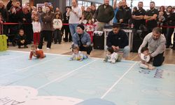 Rize'de bebek emekleme yarışması düzenlendi