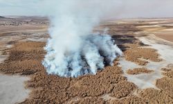 Kuş Cenneti kurudu, şimdi de yanıyor