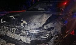 Sinop Belediye Başkanı Gürbüz'ün makam aracı omuz sürüsüne çarptı