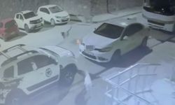 Sokak köpekleri ilçenin kabusu oldu: Otomobile 108 bin TL'lik zarar verdiler