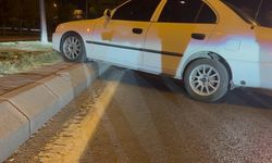 Seyir halindeyken uyuyan sürücü, kaza sonrası da uyumaya devam etti