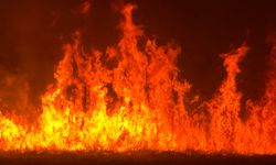 Hakkari'de yangın: Yerleşim yerleri tehdit altında