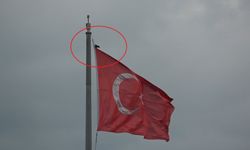 Karganın Türk bayrağı inadı