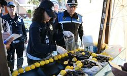 Ölümlü zehirlenme olayının ardından Başkan Günel'den sokak lezzetlerine sıkı takip