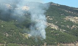 Muğla'da korkutan yangın kontrol altına alındı