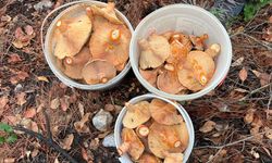 Bereketiyle ekonomik kaynak haline geldi