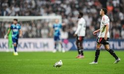 Beşiktaş-Samsunspor maçında martı sürprizi! Akıllara Süleyman Seba’nın sözleri geldi