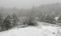 Balıkesir'de kar yağışı başladı