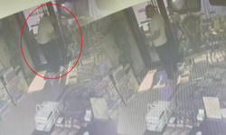 Böcek ailesini otele kilitleyip yemeğe gitmiş! Skandal görüntüler ortaya çıktı