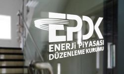 EPDK 2024 verilerini açıkladı: 10 binden fazla lisans
