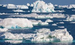 Antarktika’da gizemli balıklar: Denizin altında geometrik yuvalar keşfedildi