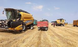 Kuraklığa rağmen hububatta arz güvencesi sağlandı!