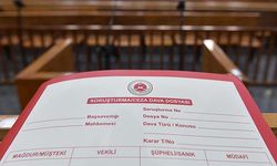 Tartışmalı karikatürün çizerine ikinci iddianame: Cumhurbaşkanına hakaret